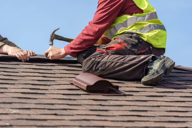 Best Shingle Roofing Installation  in Newk, AR
