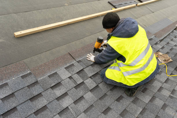 Best Metal Roofing Contractor  in Newk, AR