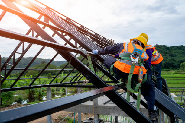 Best Roof Maintenance Services  in Newk, AR