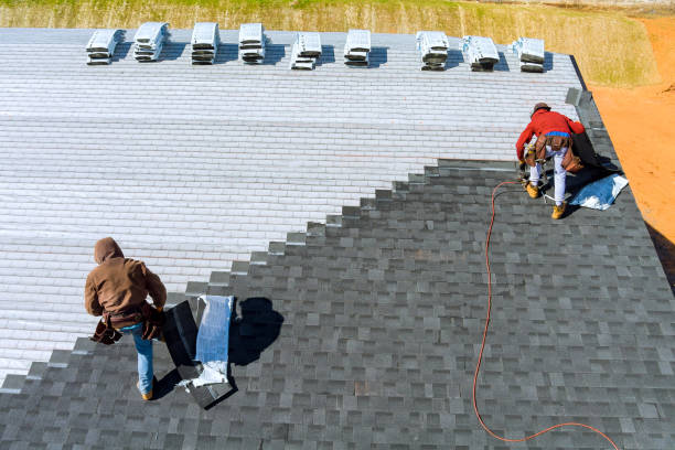 Best Flat Roof Repair Services  in Newk, AR
