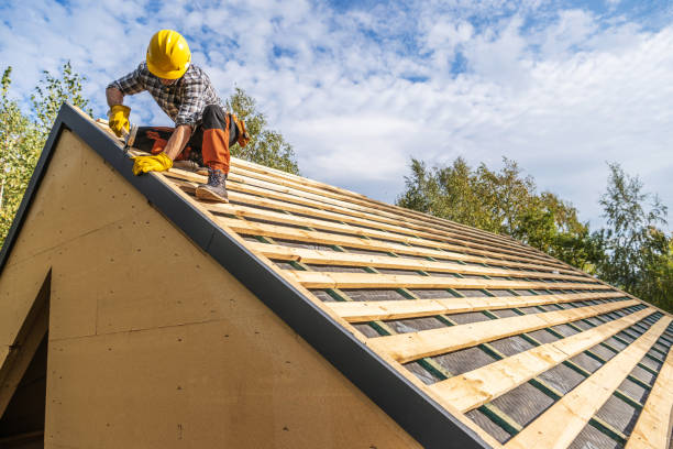 Best Roof Repair Services  in Newk, AR