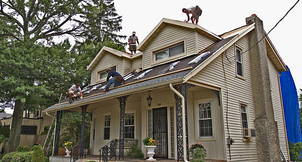 Best Residential Roofing Contractor  in Newk, AR