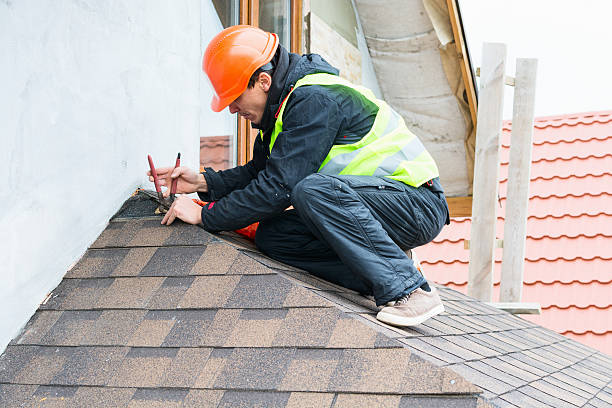 Best Roof Restoration Services  in Newk, AR