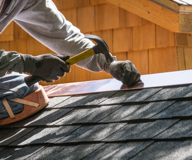 Best Roof Gutter Cleaning  in Newk, AR